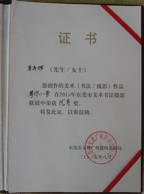 9728 9728