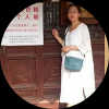 書畫藝術(shù)家蔡國英