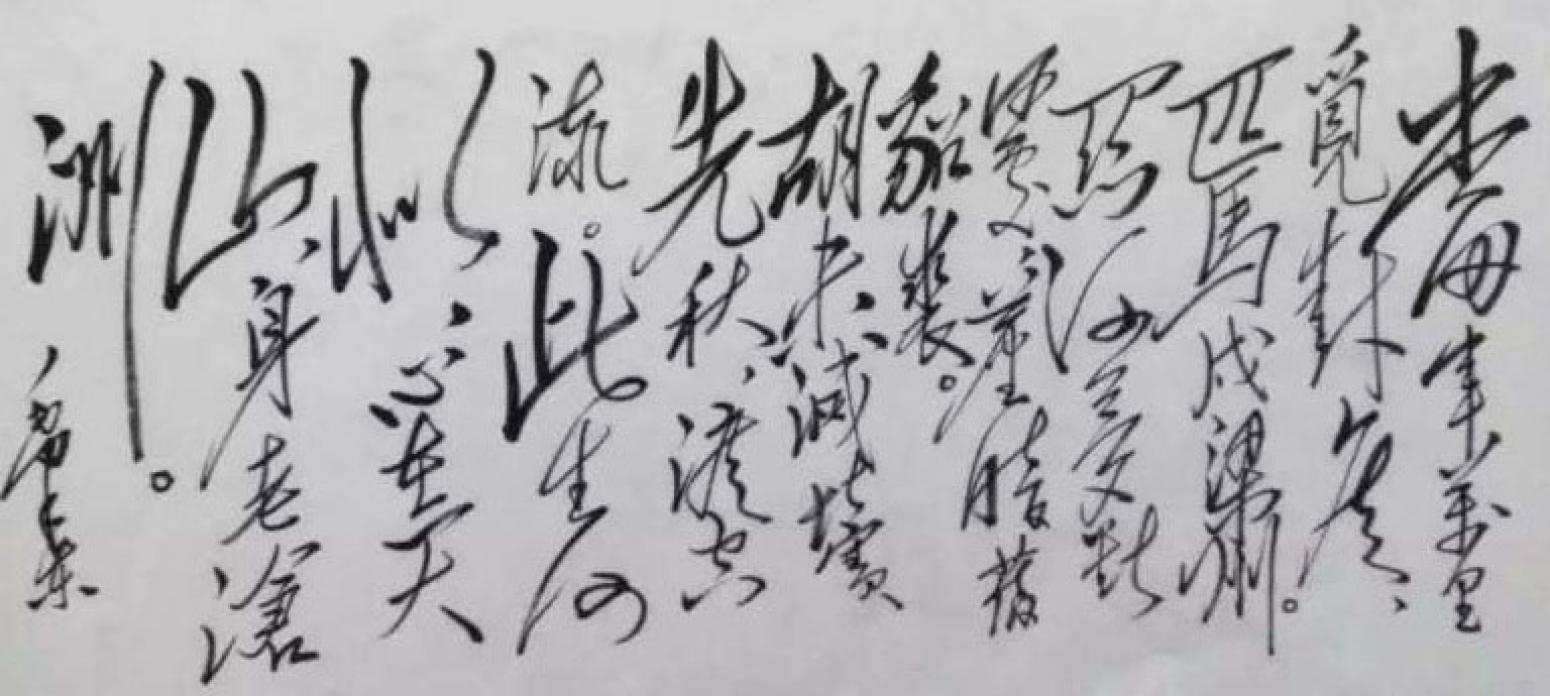 史永強書法作品《【毛澤東詩詞】作者史永強》【圖0】