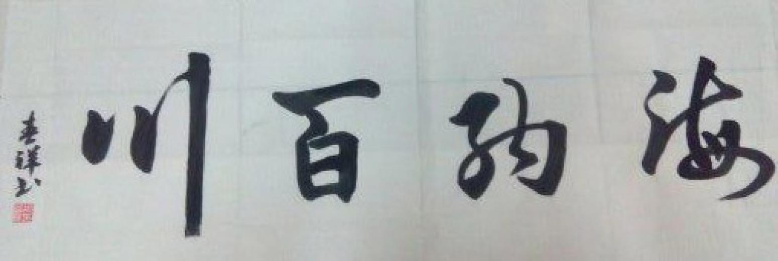 胡春祥書法作品《【海納百川】作者胡春祥》【圖0】