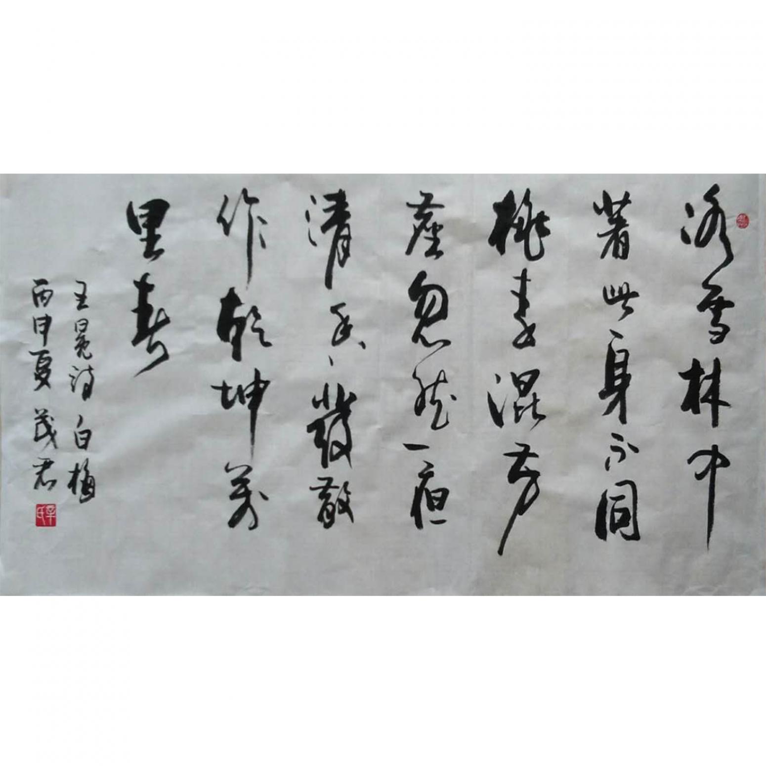 辛茂君書法作品《【書法8】作者辛茂君》