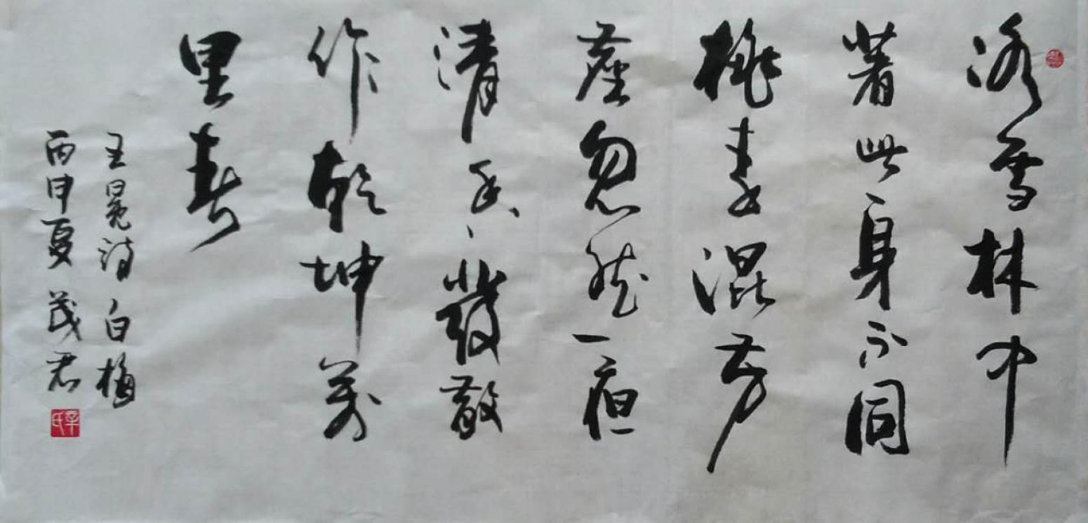 辛茂君書法作品《【書法8】作者辛茂君》【圖0】