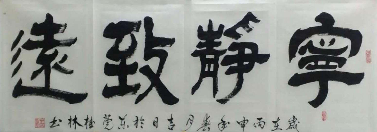 潘桂林書法作品《【寧靜致遠】作者潘桂林》【圖0】