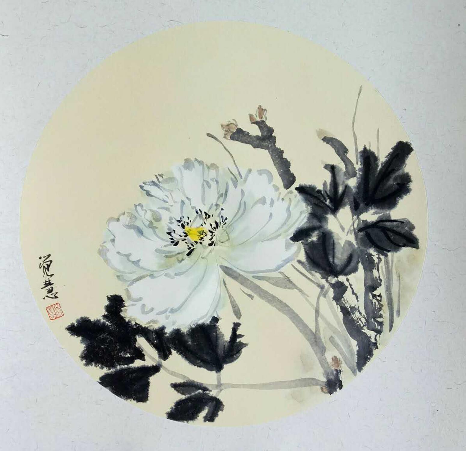 張大石國畫作品《【白牡丹】作者張大石》【圖0】