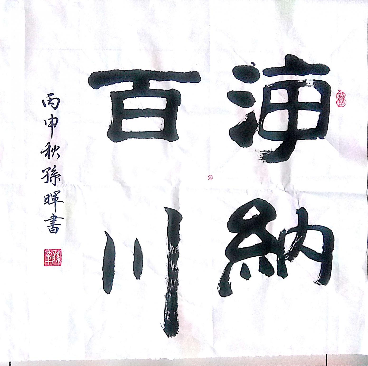 孫暉書(shū)法作品《【海納百川 】作者孫暉》【圖0】