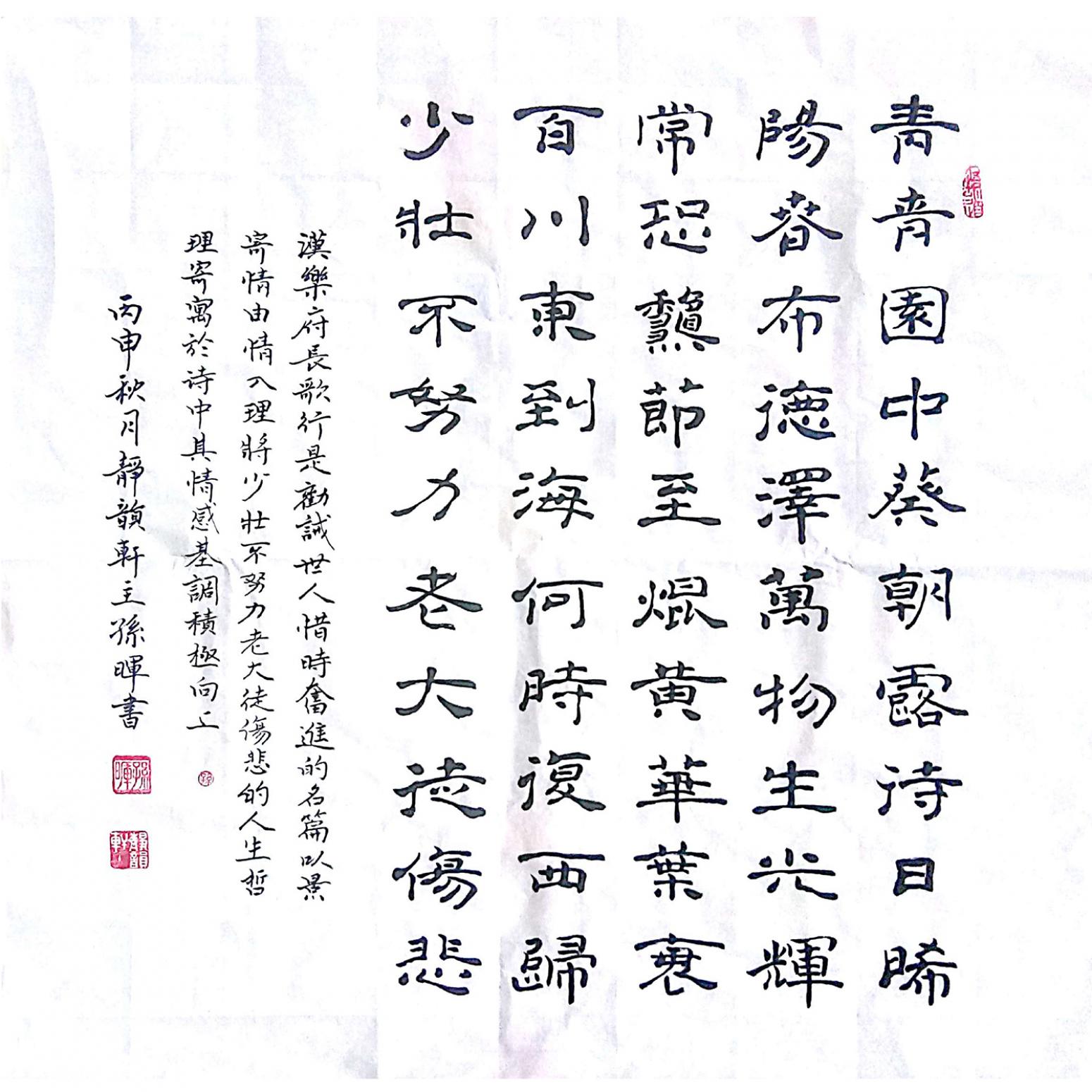 孫暉書法作品《【書法 】作者孫暉》