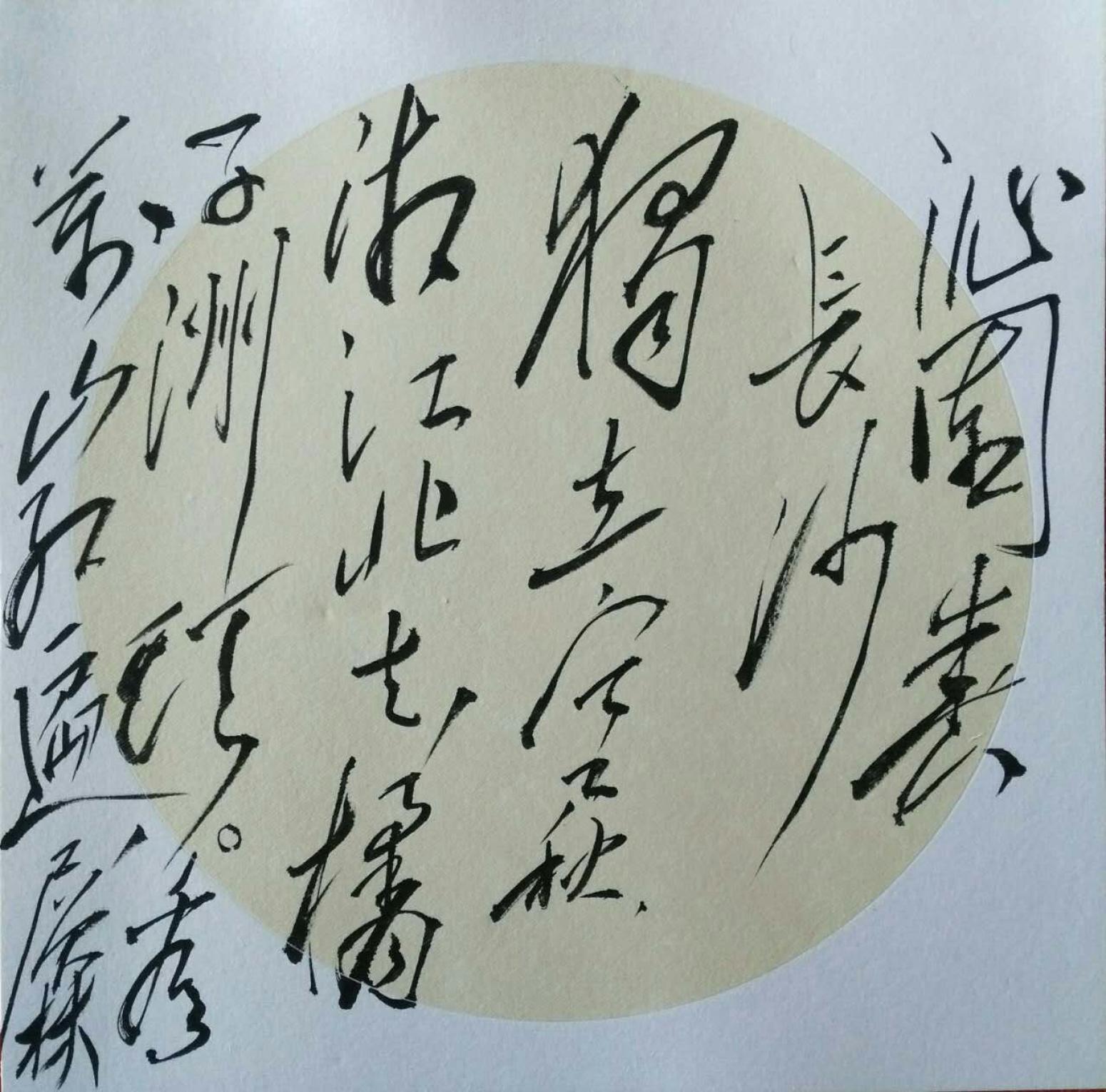 羅杰書法作品《【沁園春 長沙】作者羅杰》【圖0】