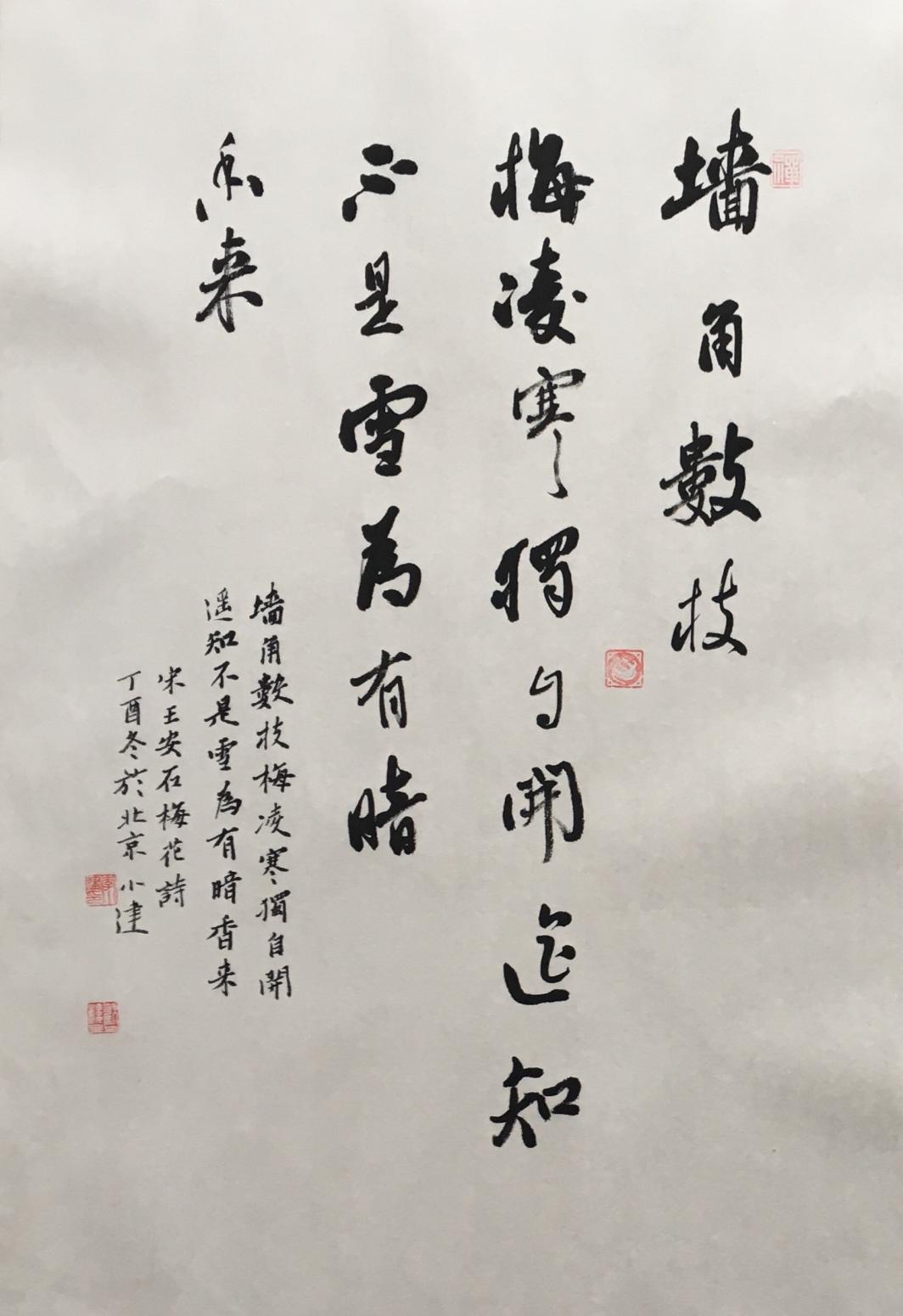 李小建書法作品《王安石梅花詩》