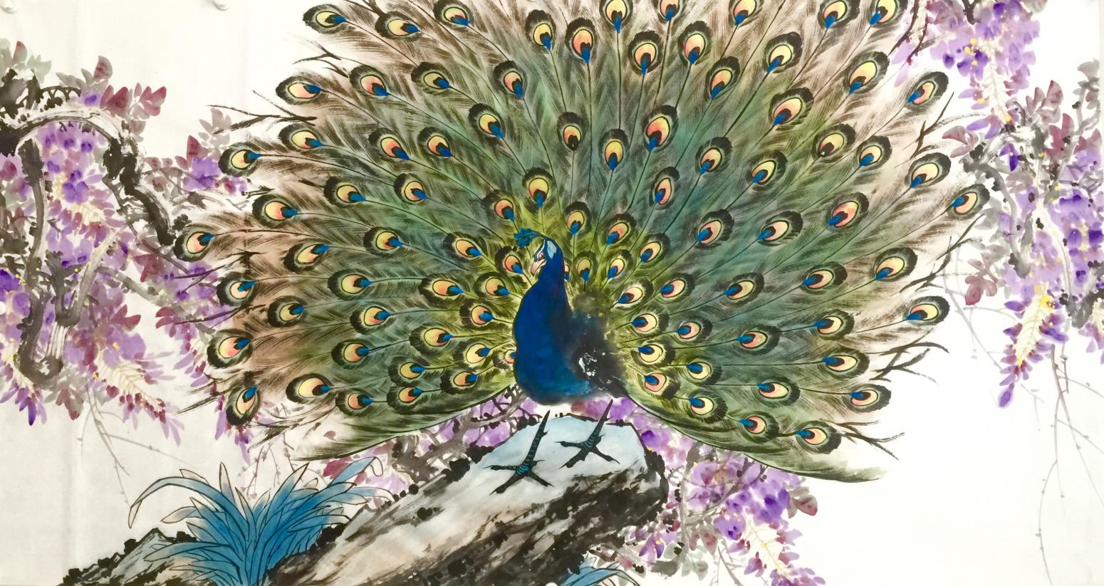 趙仲謀國畫作品《孔雀開屏吉祥圖》【圖1】