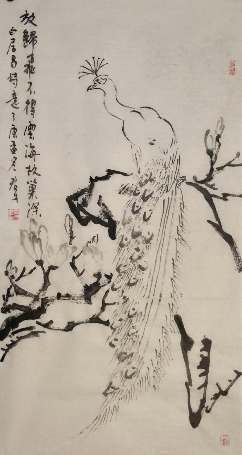 田君才國(guó)畫(huà)作品《白孔雀》