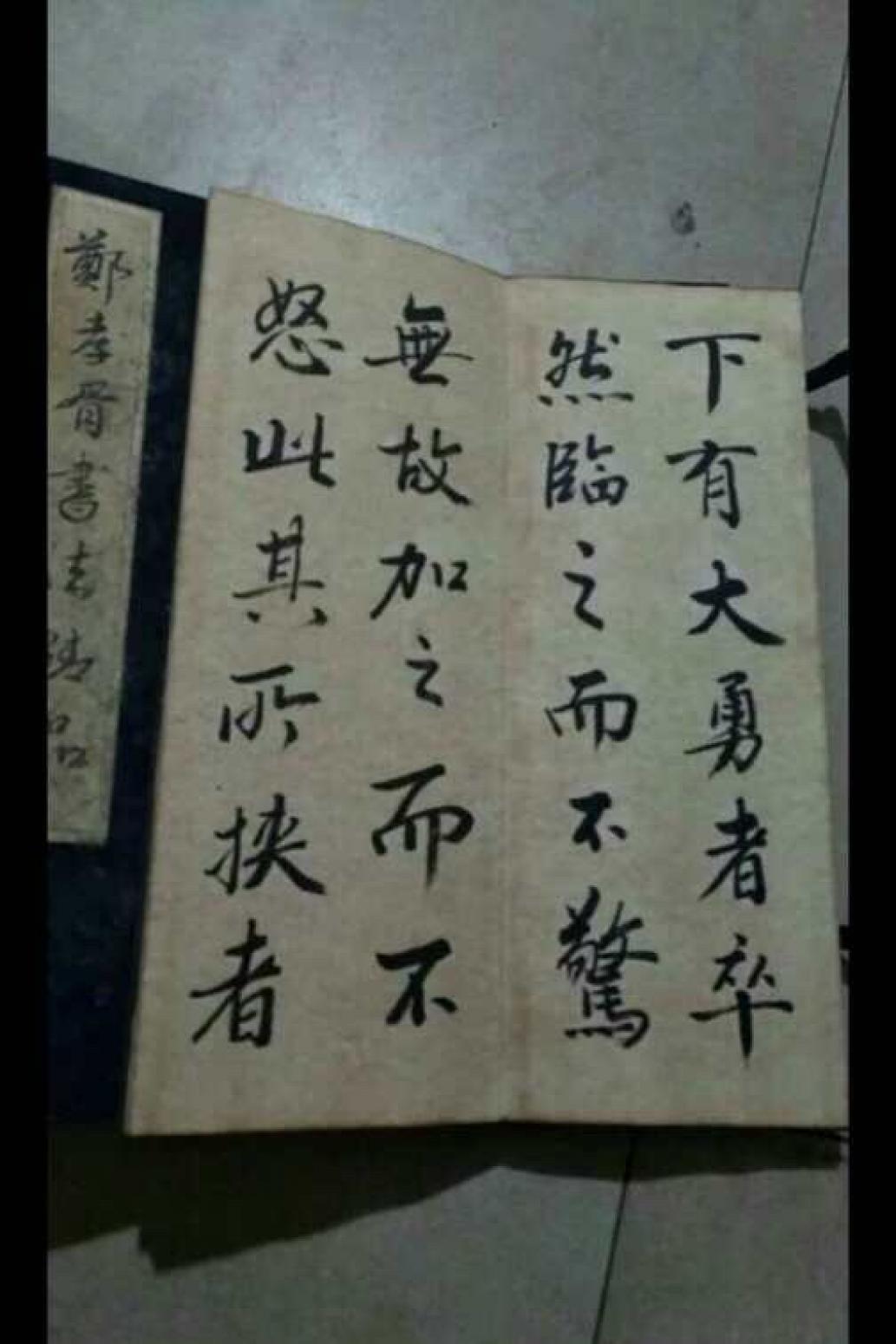 13728042745書法作品《鄭孝胥精品書法冊》【圖4】