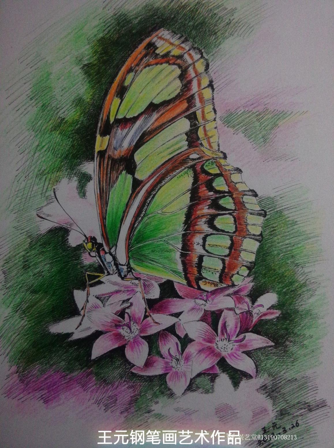 王元國畫作品《鋼筆畫》