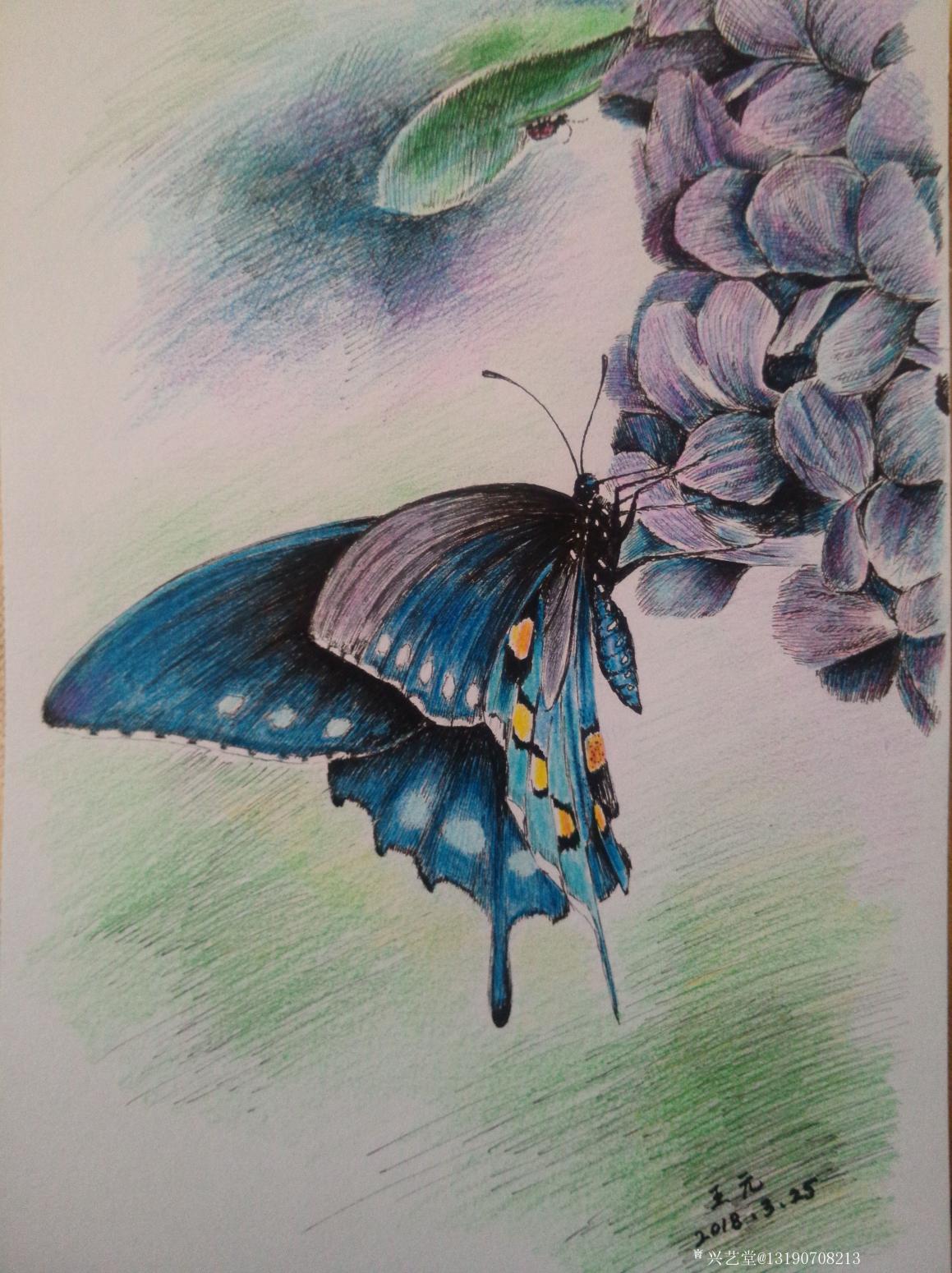 王元國畫作品《鋼筆畫》【圖0】