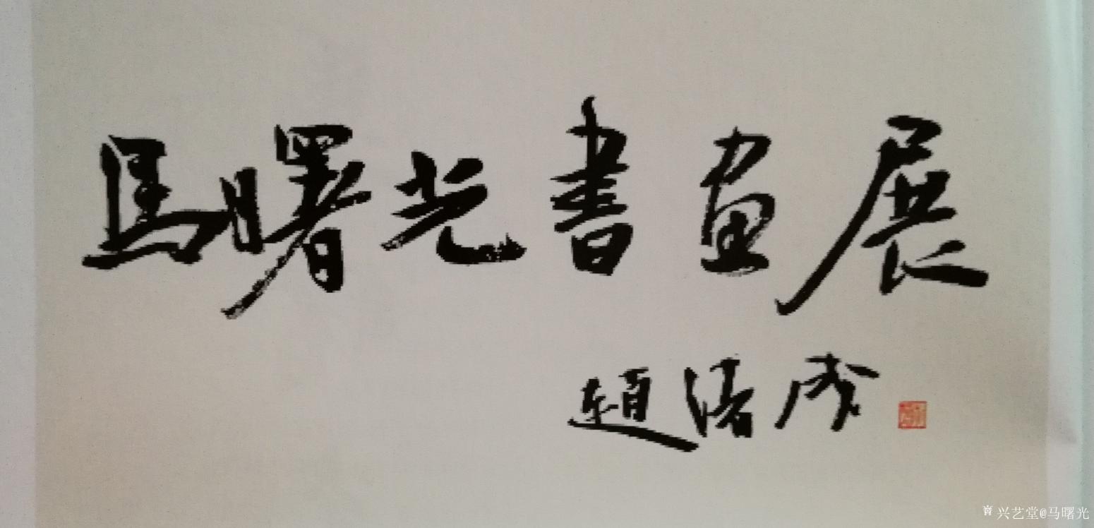 馬曙光書法作品《家和萬事興》