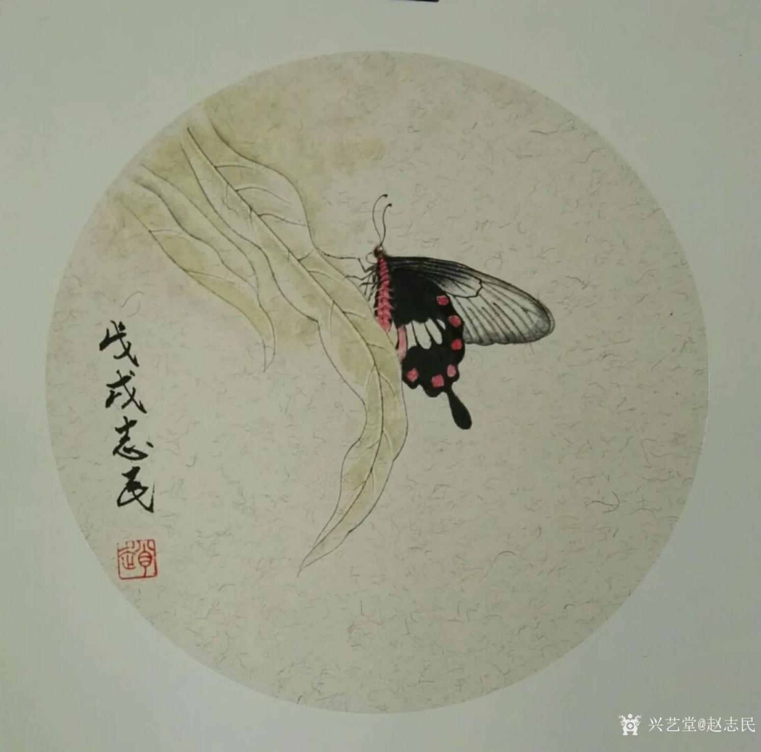 趙志民國(guó)畫(huà)作品《蝴蝶》