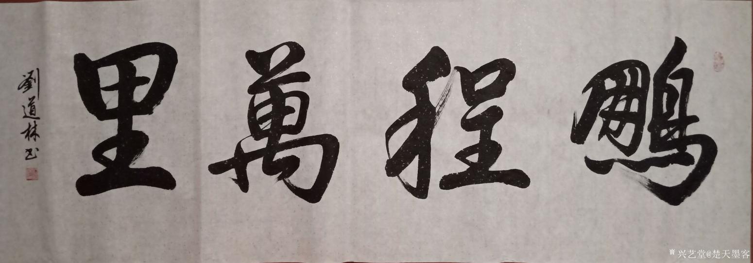 劉道林書法作品《鵬程萬里》