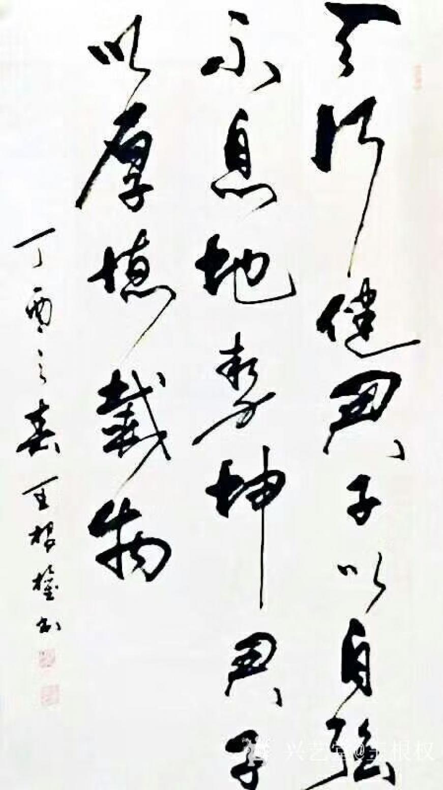 王根權(quán)書法作品《天行健》