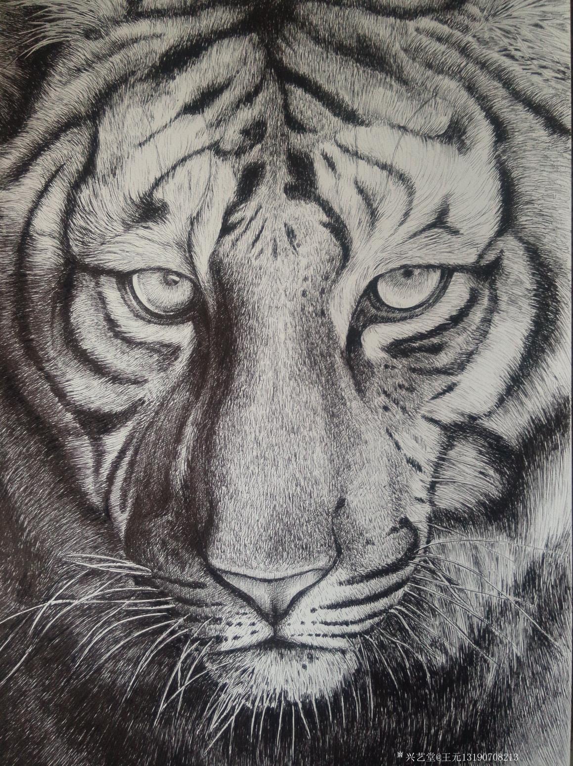 王元國畫作品《(威)鋼筆畫》【圖0】