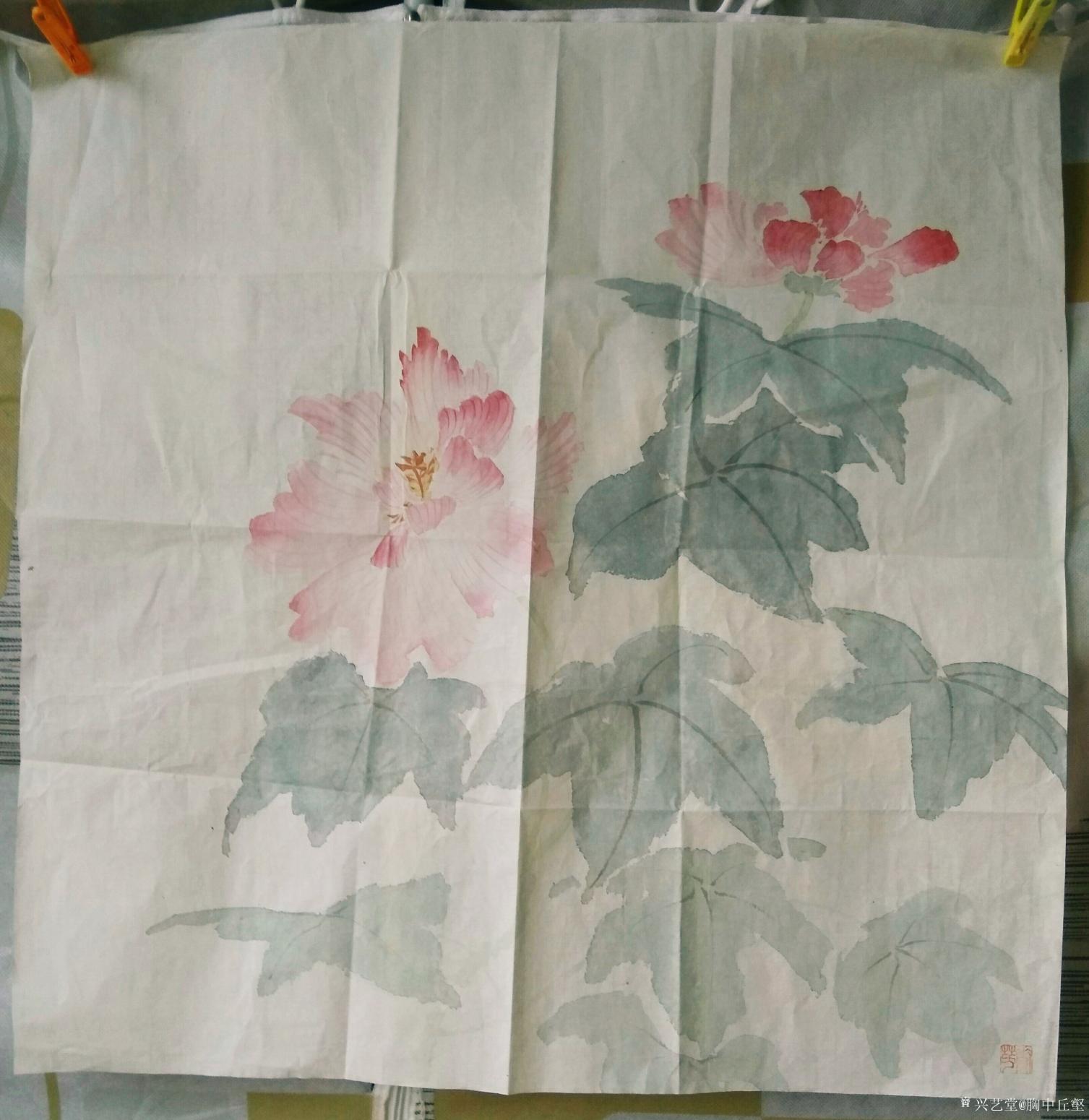 胸中丘壑國畫作品《花鳥》【圖2】