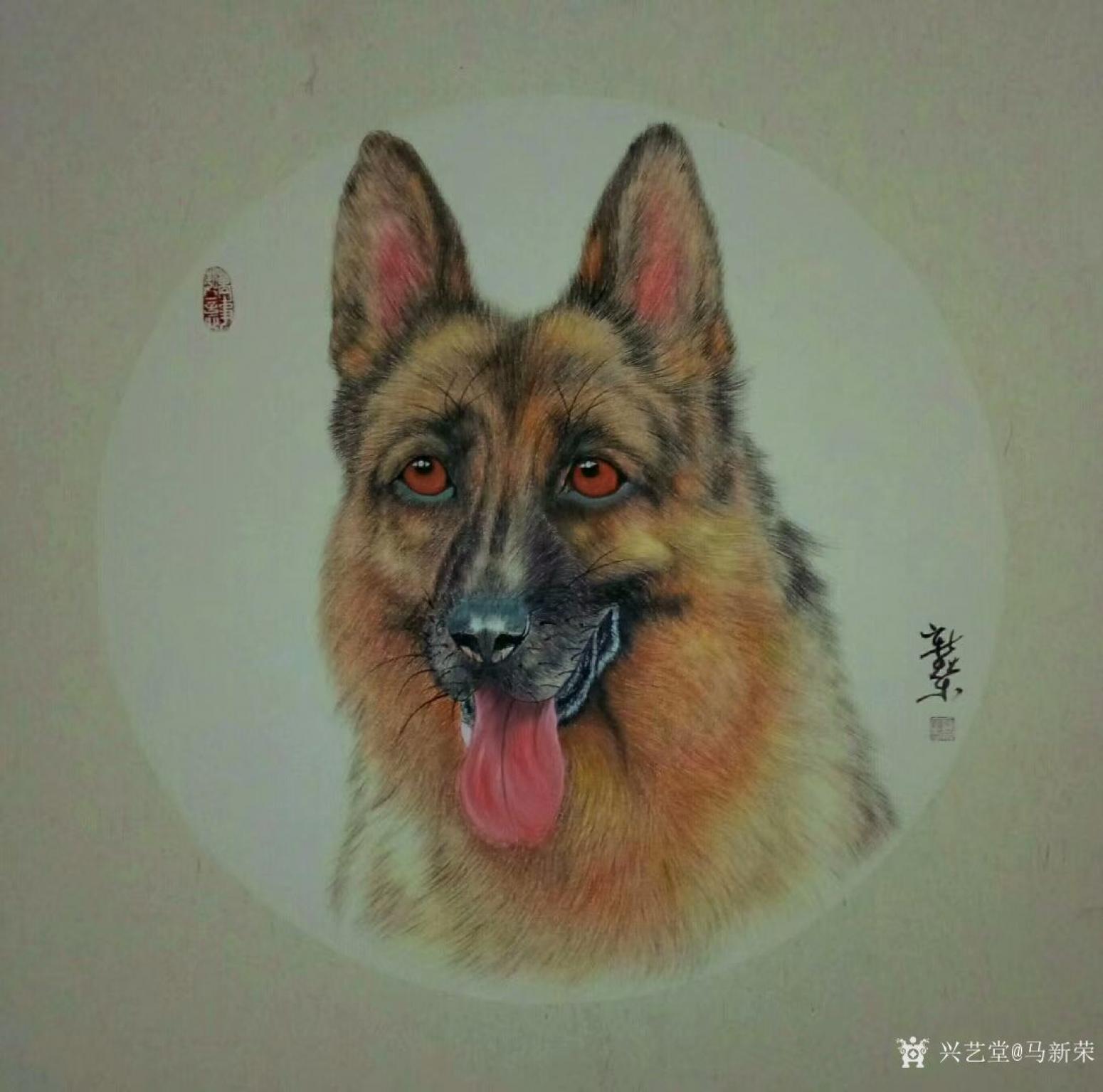 馬新榮國(guó)畫作品《牧羊犬》【圖0】