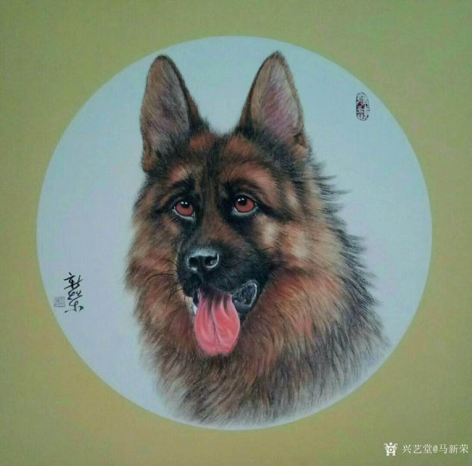 馬新榮國畫作品《牧羊犬》【圖0】