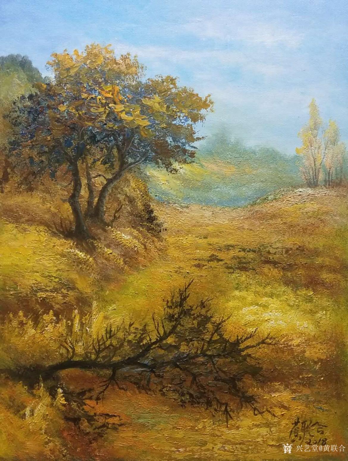 黃聯(lián)合油畫作品《油畫作品  黃聯(lián)合》【圖6】