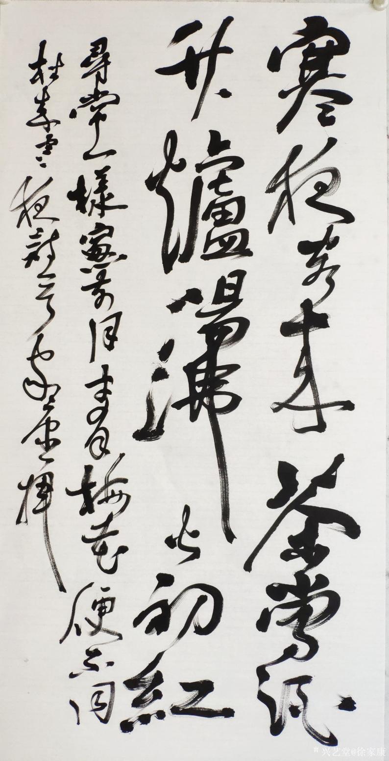 徐家康書法作品《草書唐杜耒詩一首》【圖0】