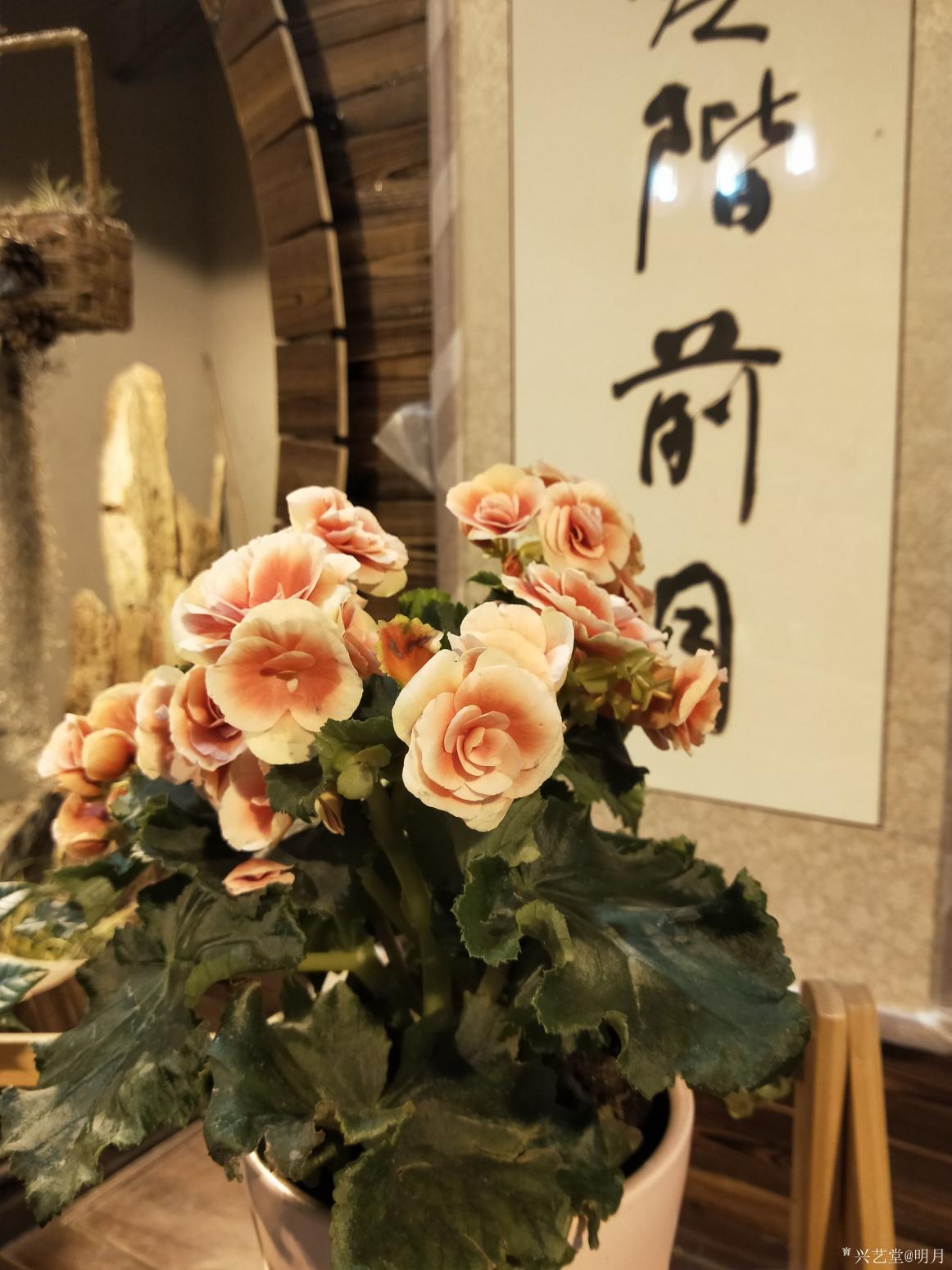 趙俊明書法作品《云淡風輕》【圖6】