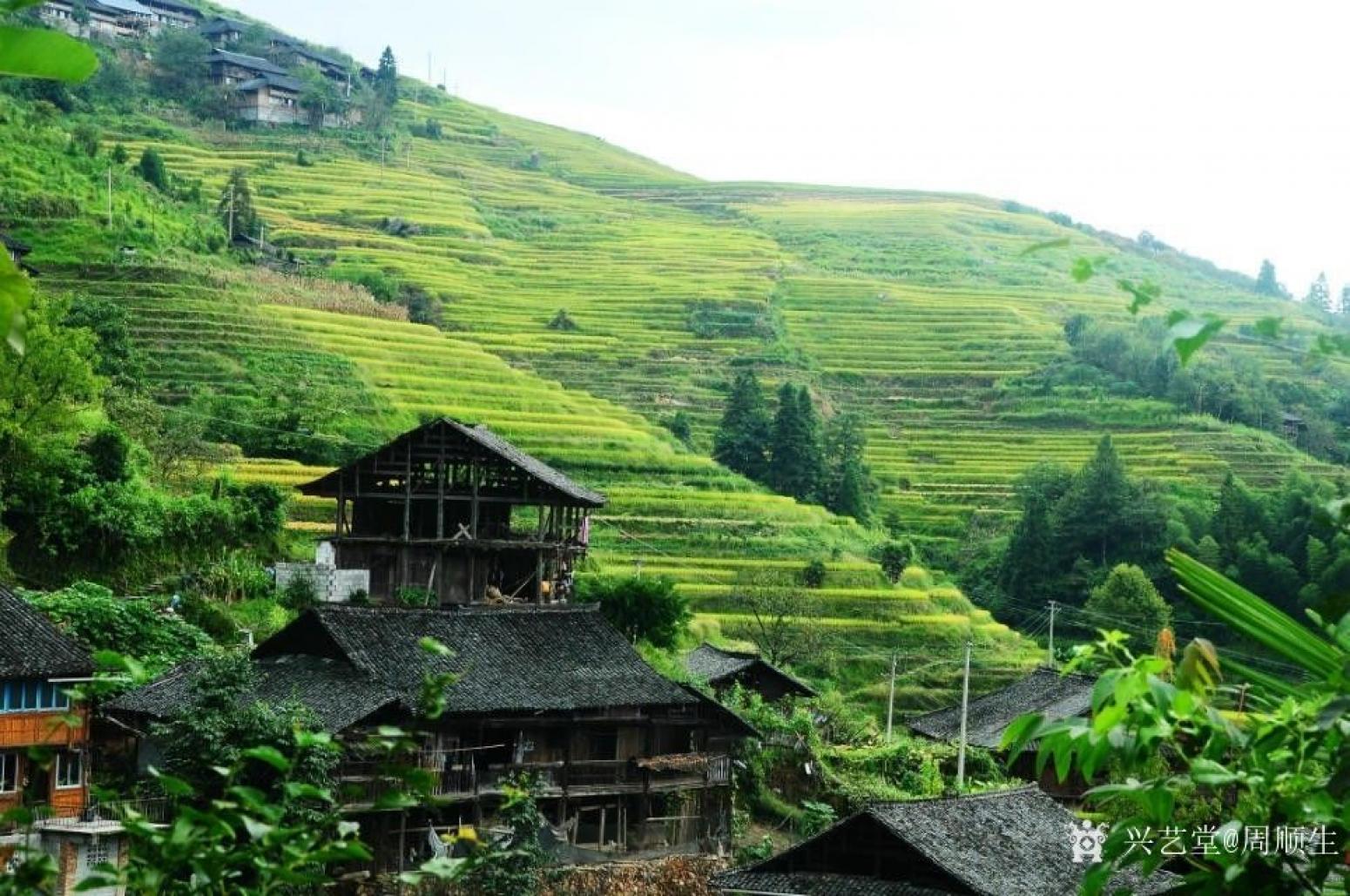 周順生國畫作品《三尺壯家風情酒飄香》【圖1】