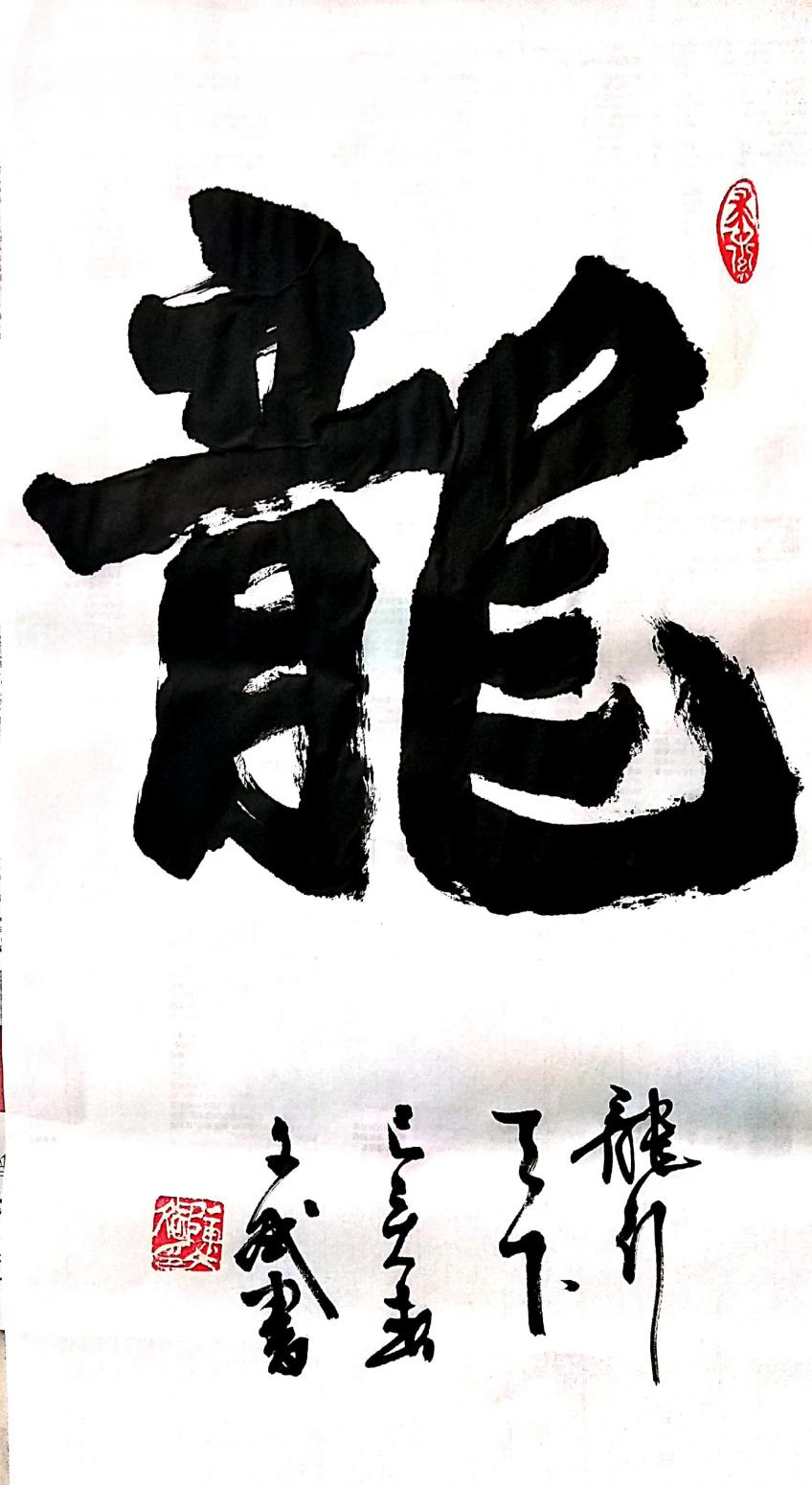 陳文斌書(shū)法作品《龍》
