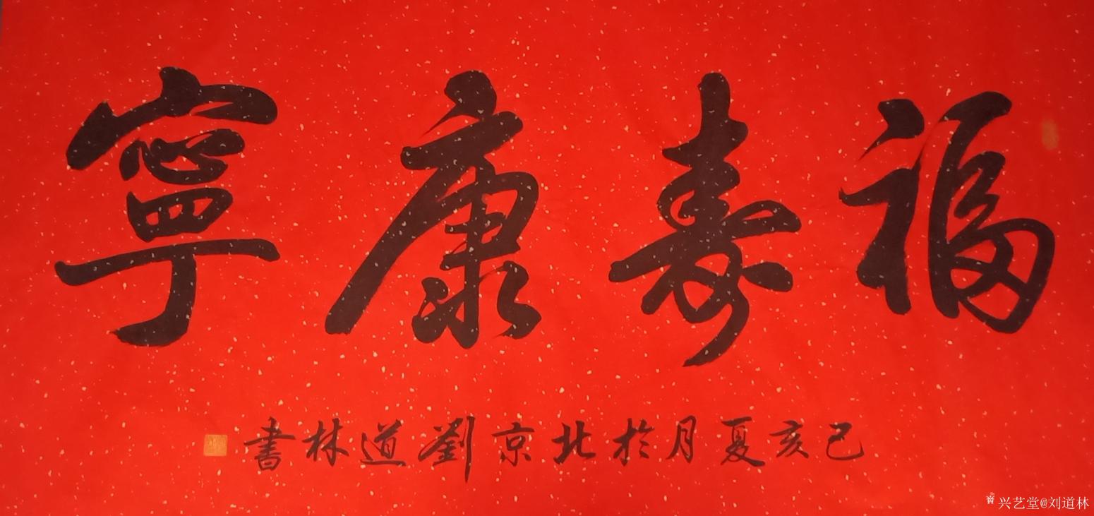 劉道林書法作品《福壽康寧》