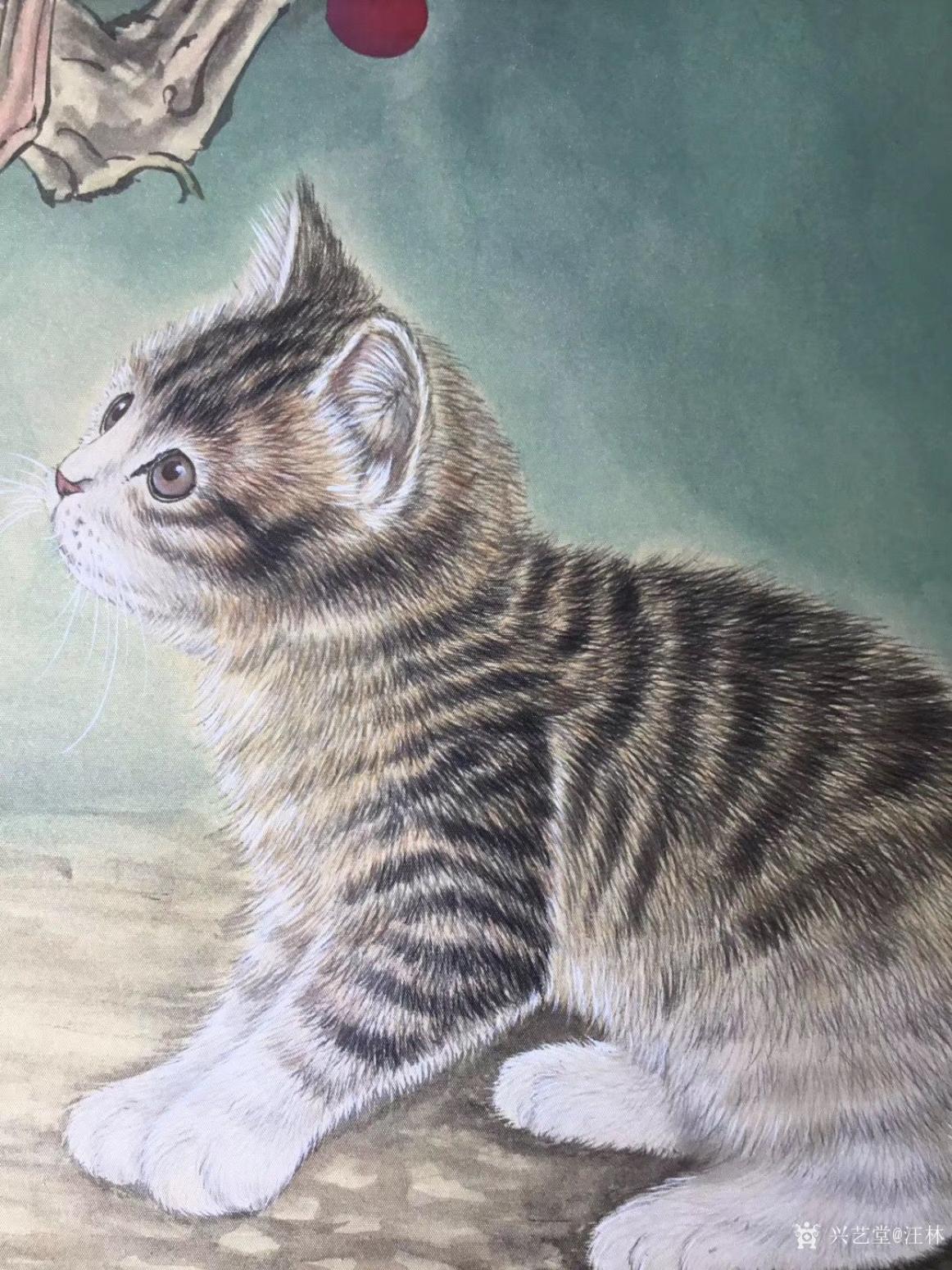 汪林國(guó)畫(huà)作品《貓與螞蚱“秋趣”》【圖0】