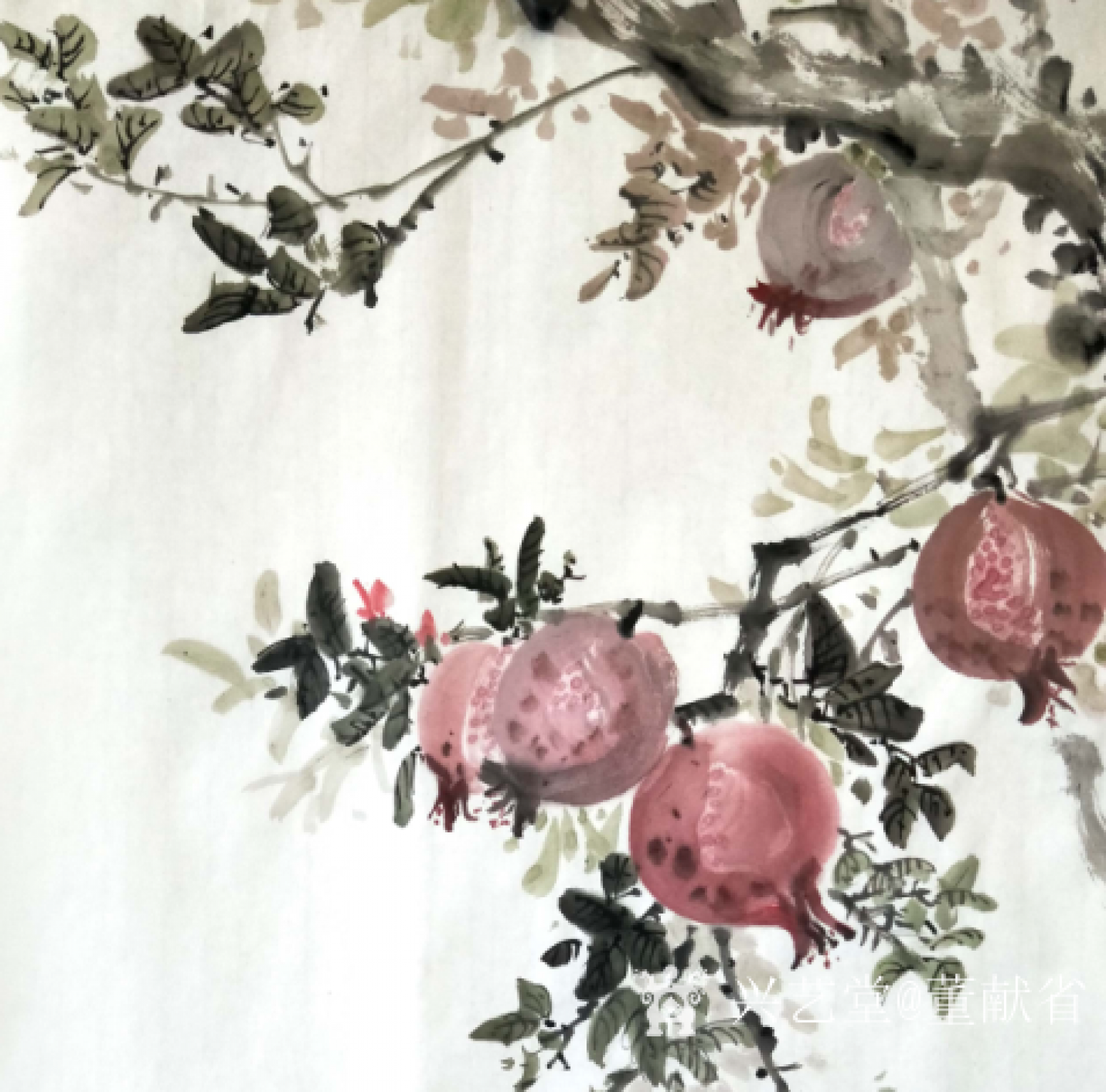 董獻省國畫作品《石榴》【圖0】