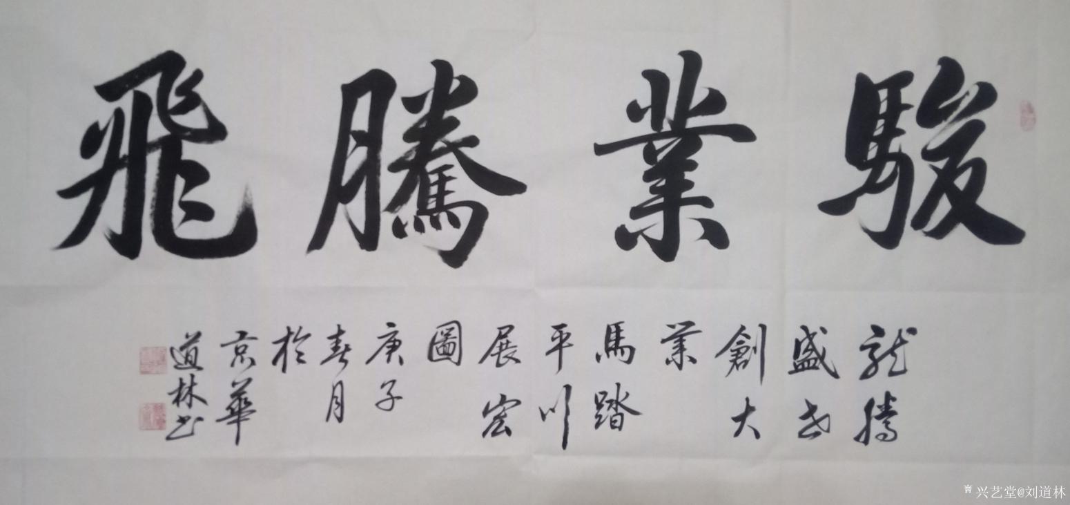 劉道林書法作品《駿業(yè)騰飛》