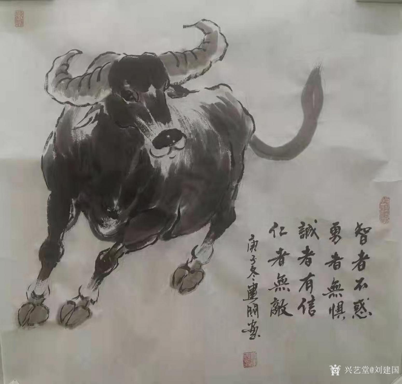 劉建國國畫作品《牛-勇者無懼》【圖0】