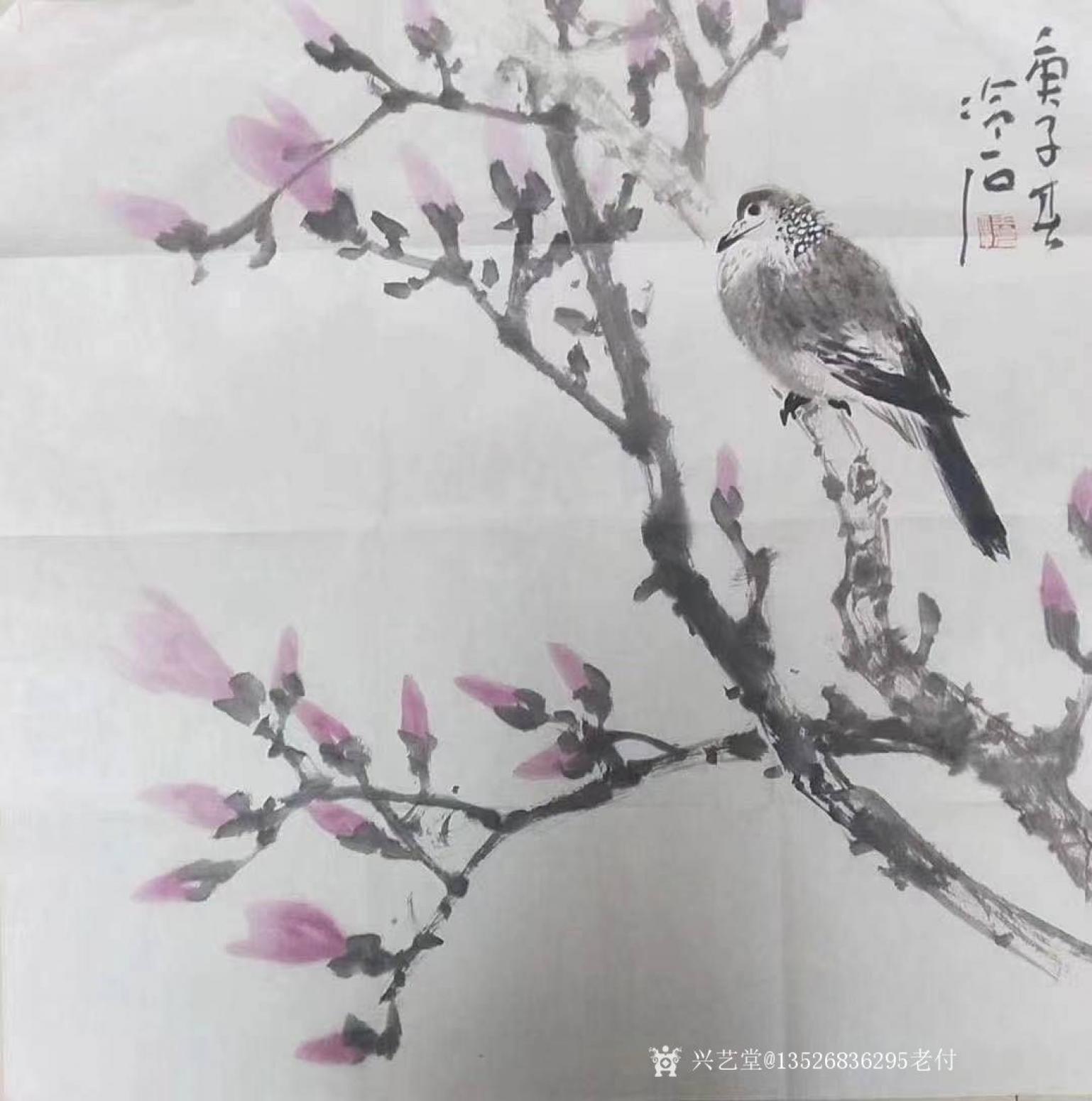 13526836295老付國(guó)畫作品《清雅》