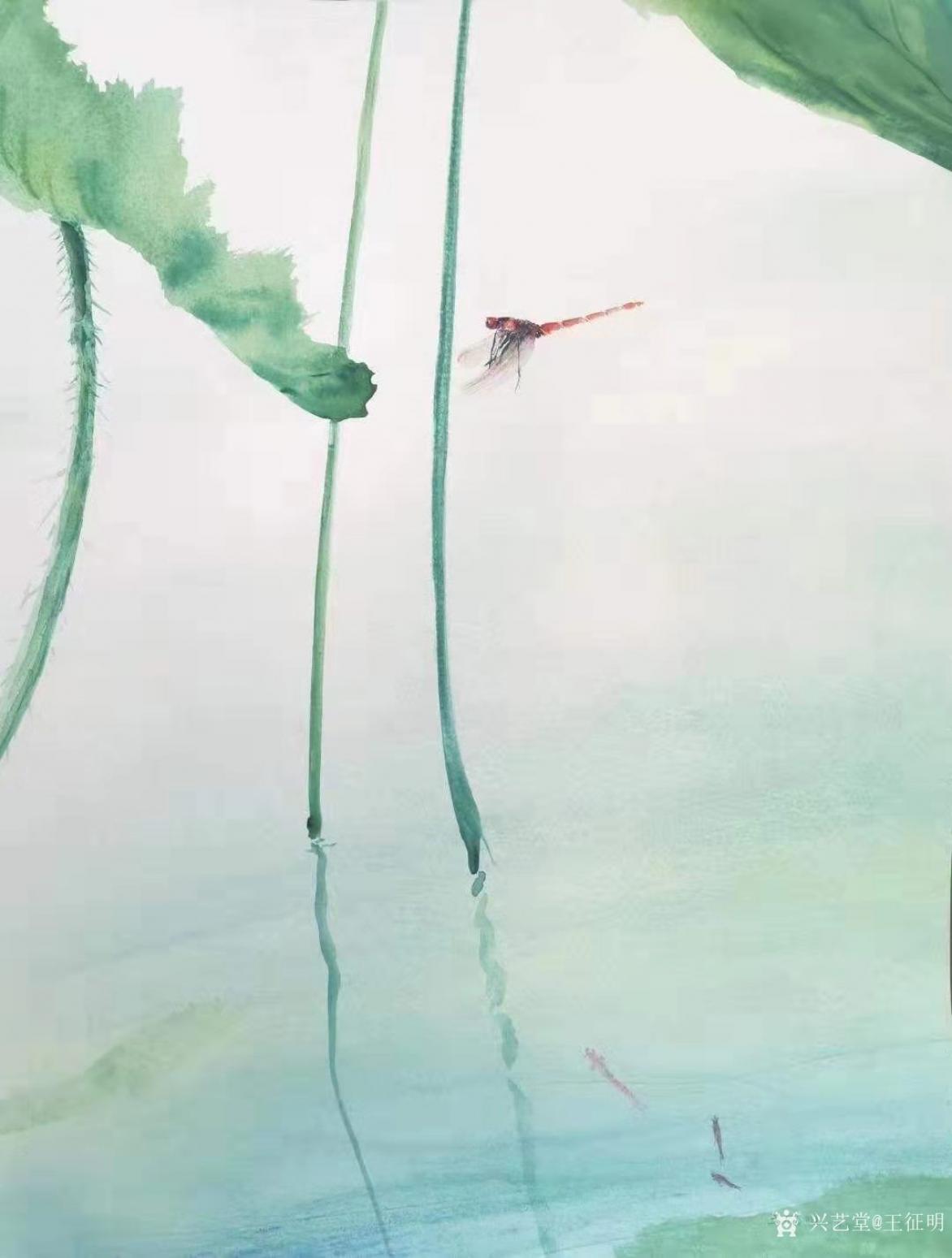 王征明國(guó)畫(huà)作品《水意畫(huà)“戲荷”》【圖0】