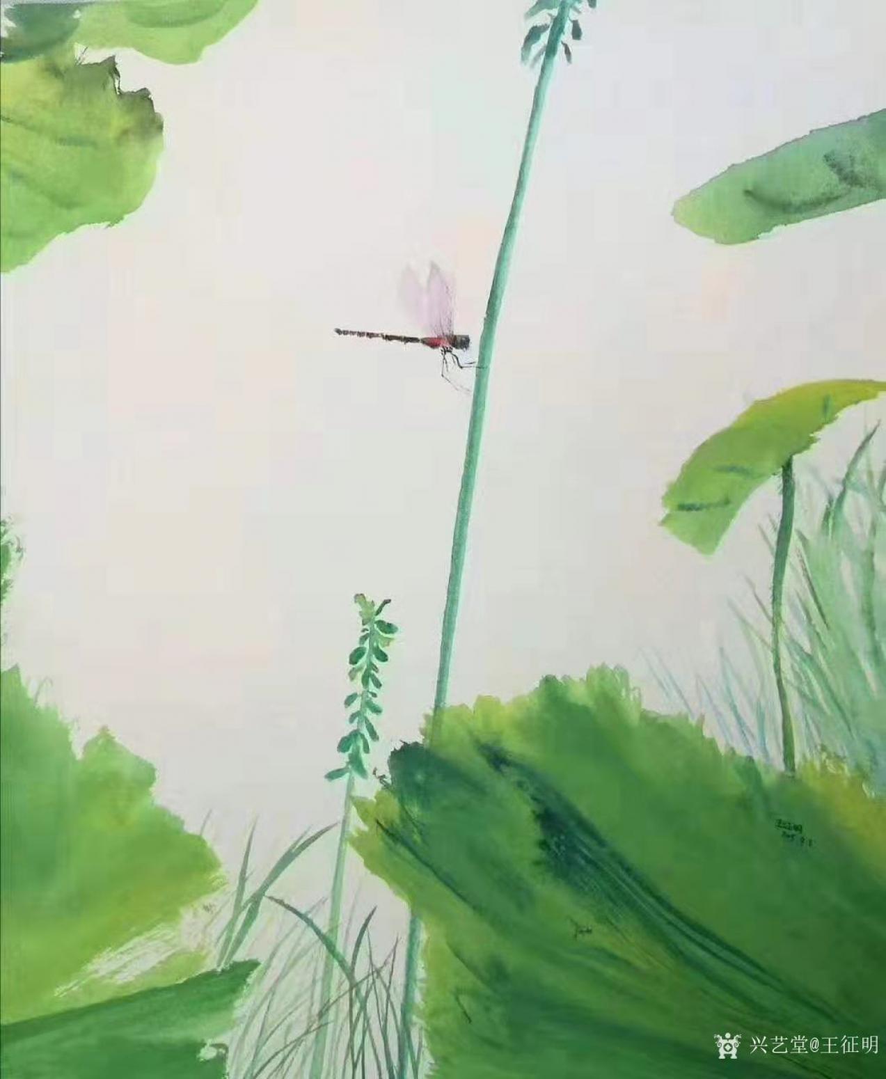 王征明國畫作品《水意畫“荷間小息”》【圖0】