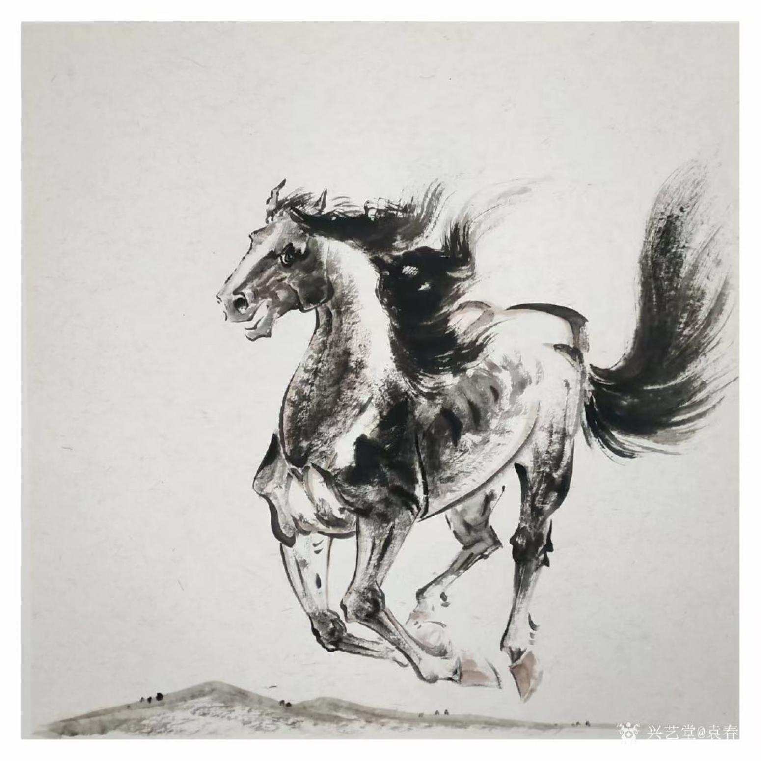 袁春寶國(guó)畫(huà)作品《奔馬圖》【圖0】