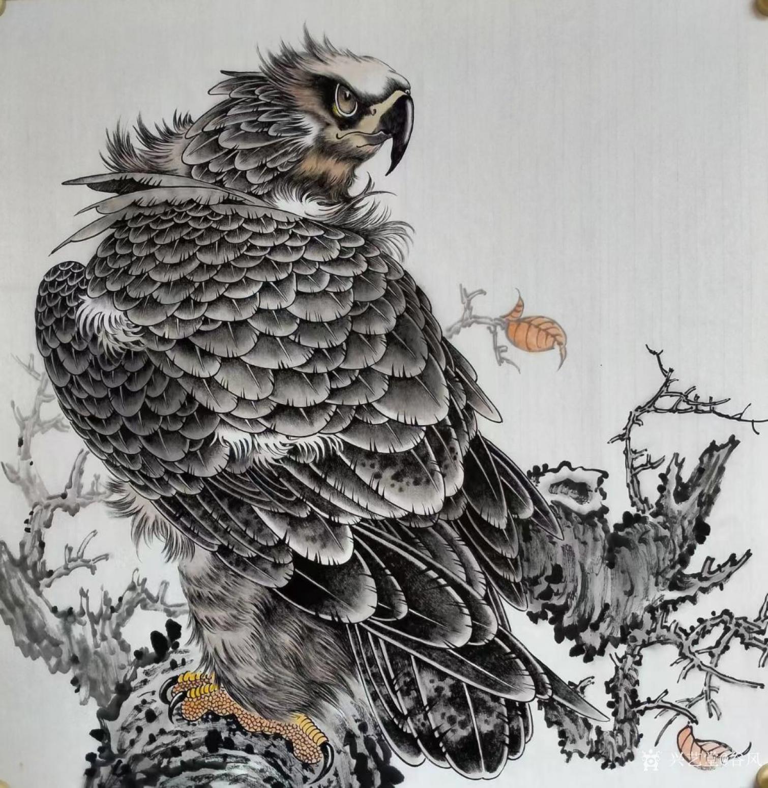 谷風(fēng)國畫作品《鷹-霸者之氣》