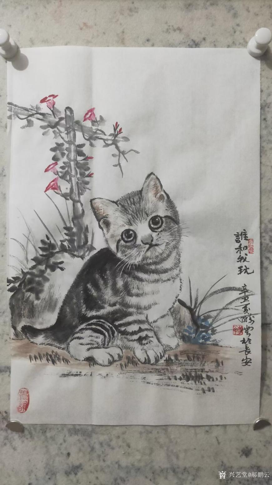 郝鵬云國畫作品《萌貓-誰和我玩》【圖0】