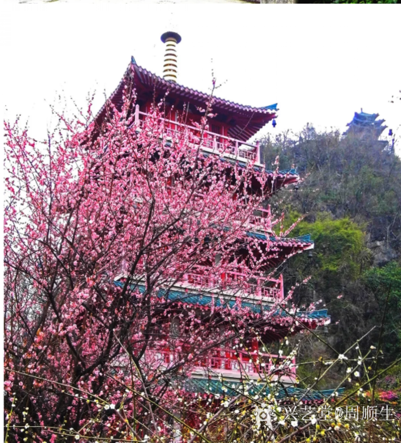 周順生國畫作品《四尺月桂鐘樓欣賞》【圖2】