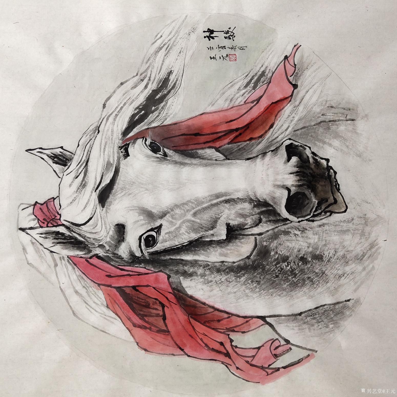 王元國(guó)畫作品《神駿-蒙古馬》【圖0】
