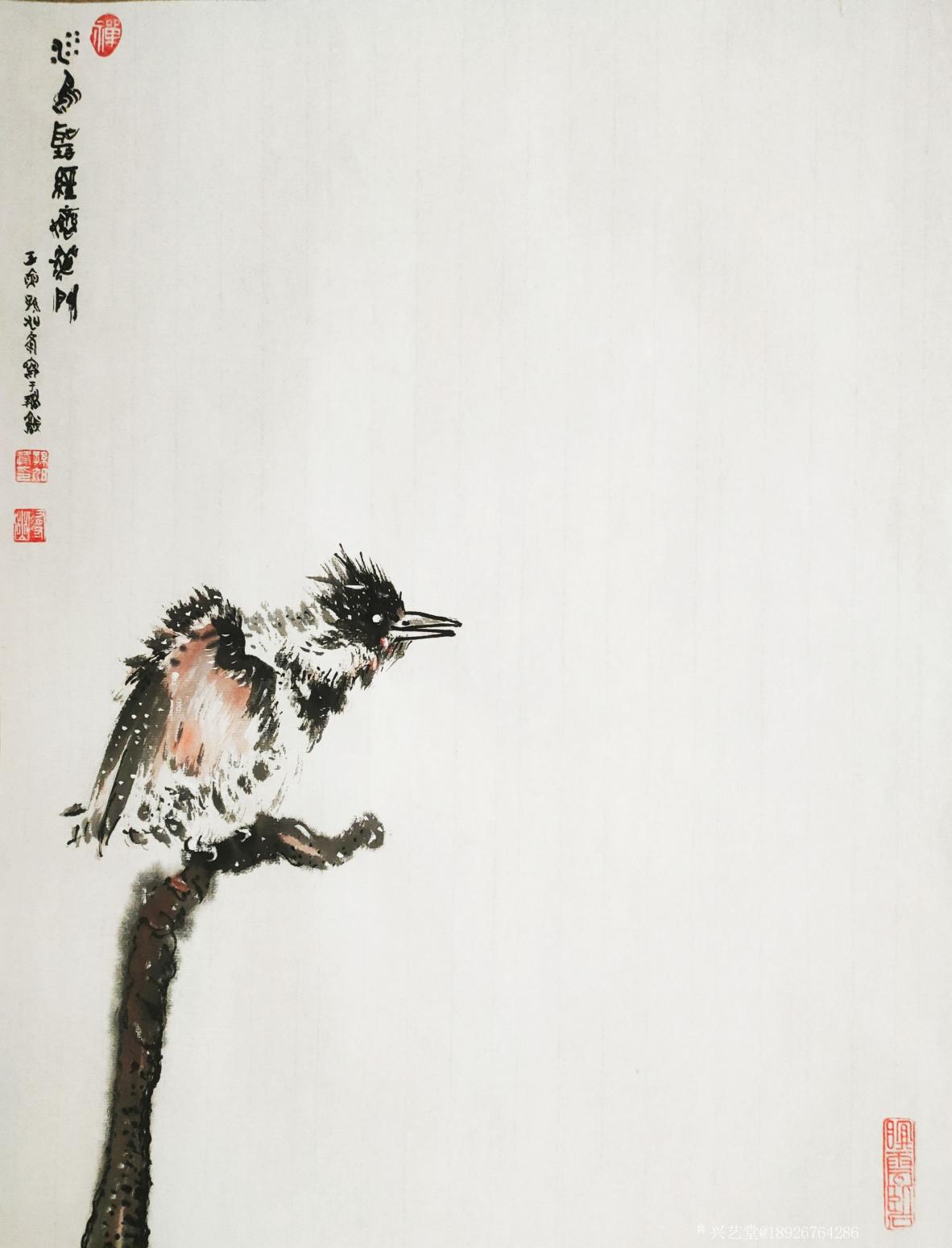 18926764286國(guó)畫作品《鳥》【圖0】