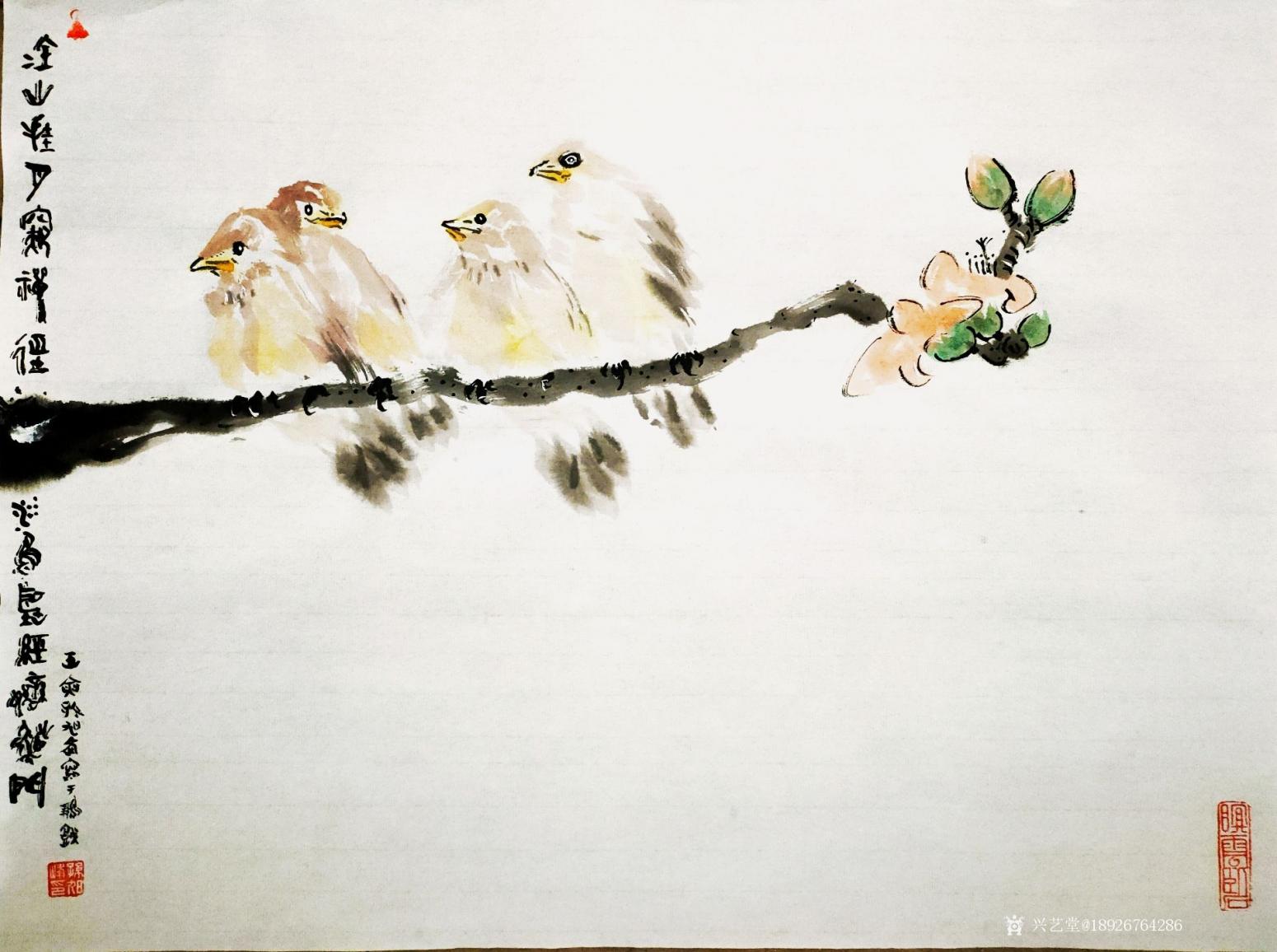 18926764286國(guó)畫(huà)作品《鳥(niǎo)》【圖0】