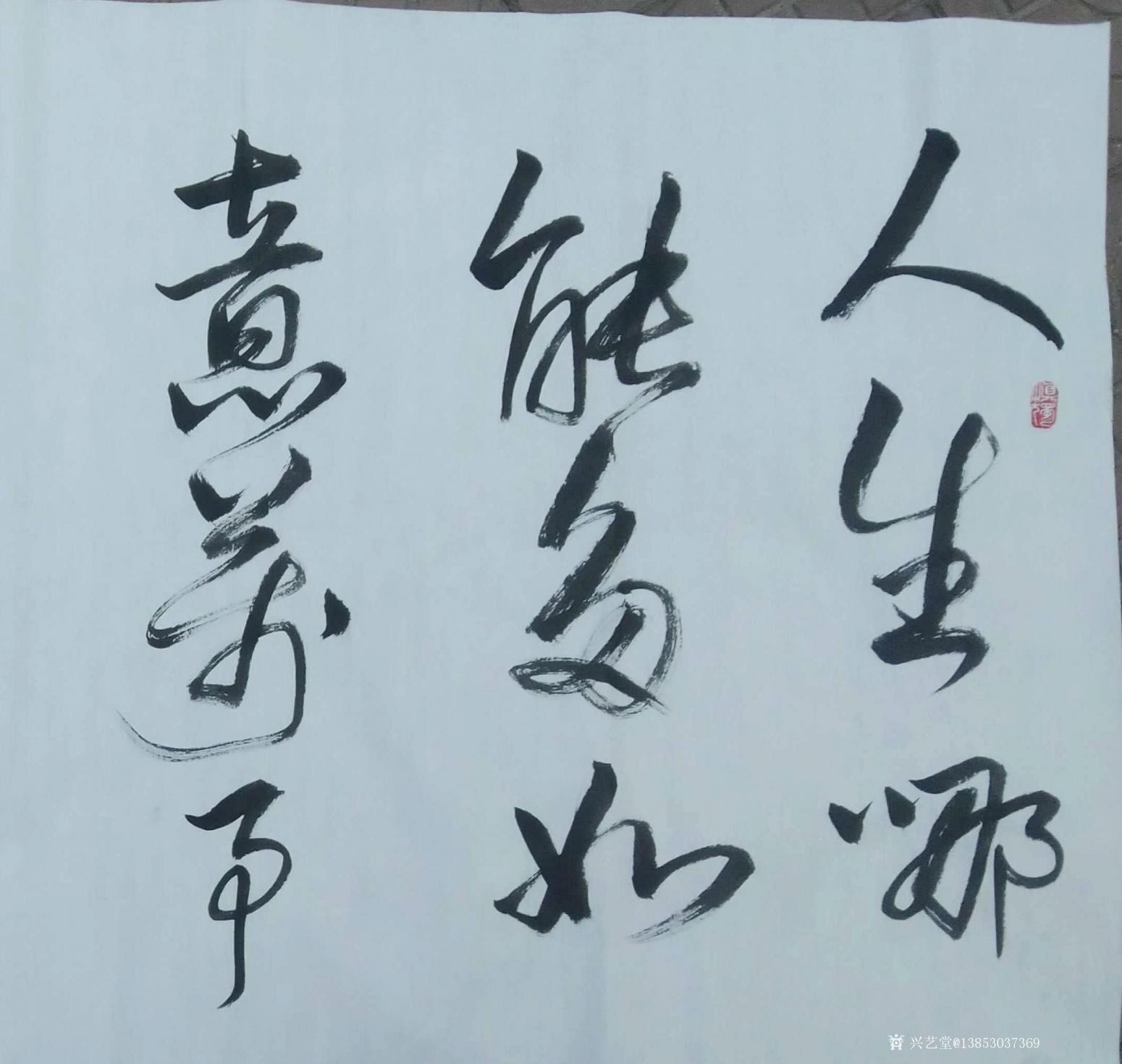 13853037369書法作品《人生哪能多如意》【圖0】