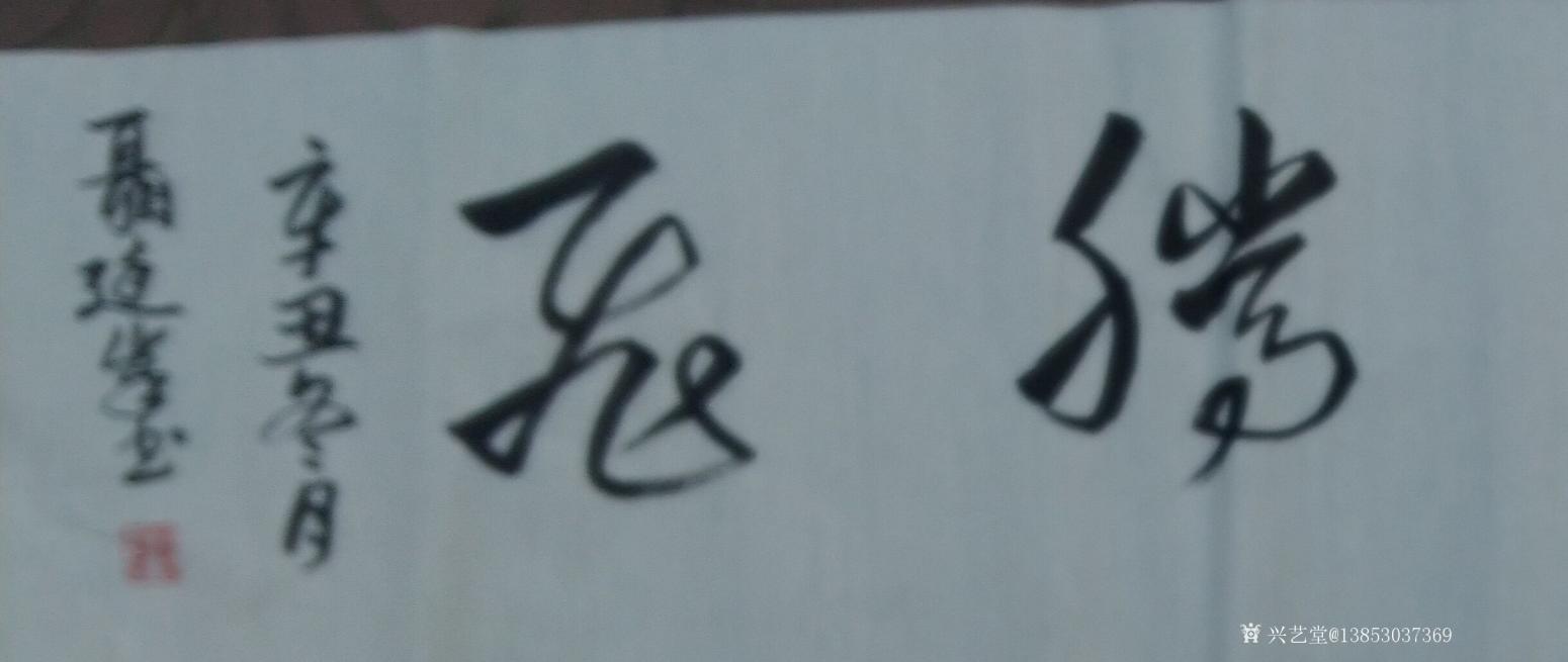 13853037369書法作品《鴻業(yè)騰飛》【圖1】