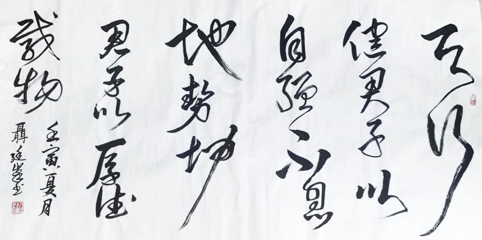 13853037369書法作品《易經(jīng)句天行健》