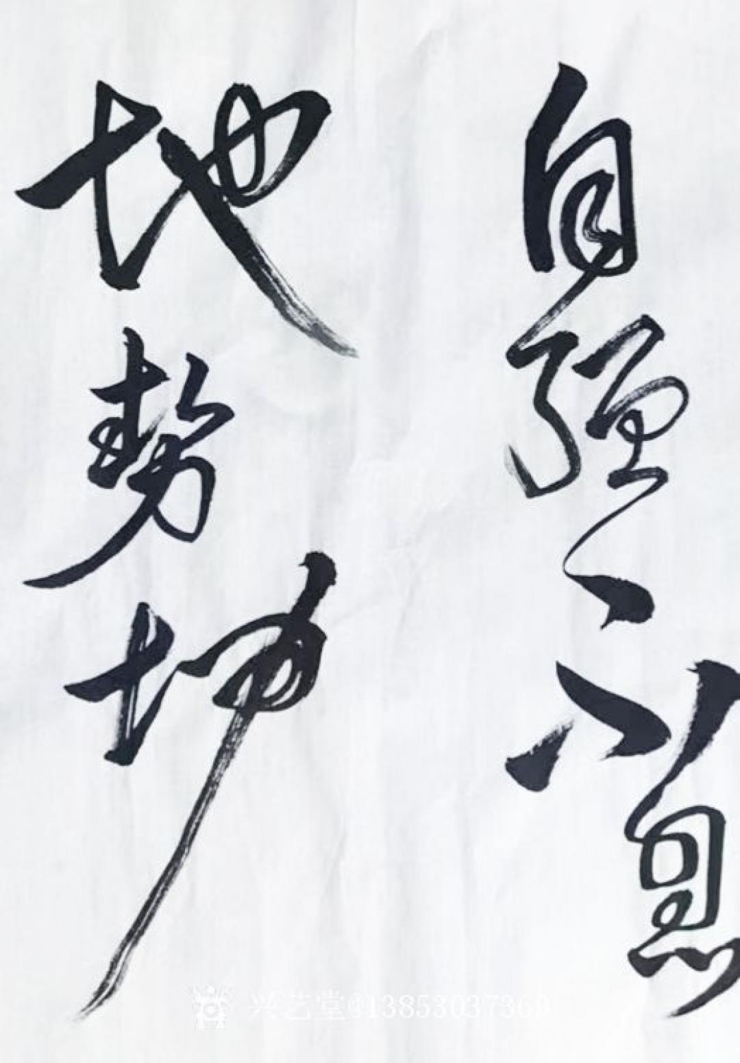 13853037369書法作品《易經(jīng)句天行健》【圖1】