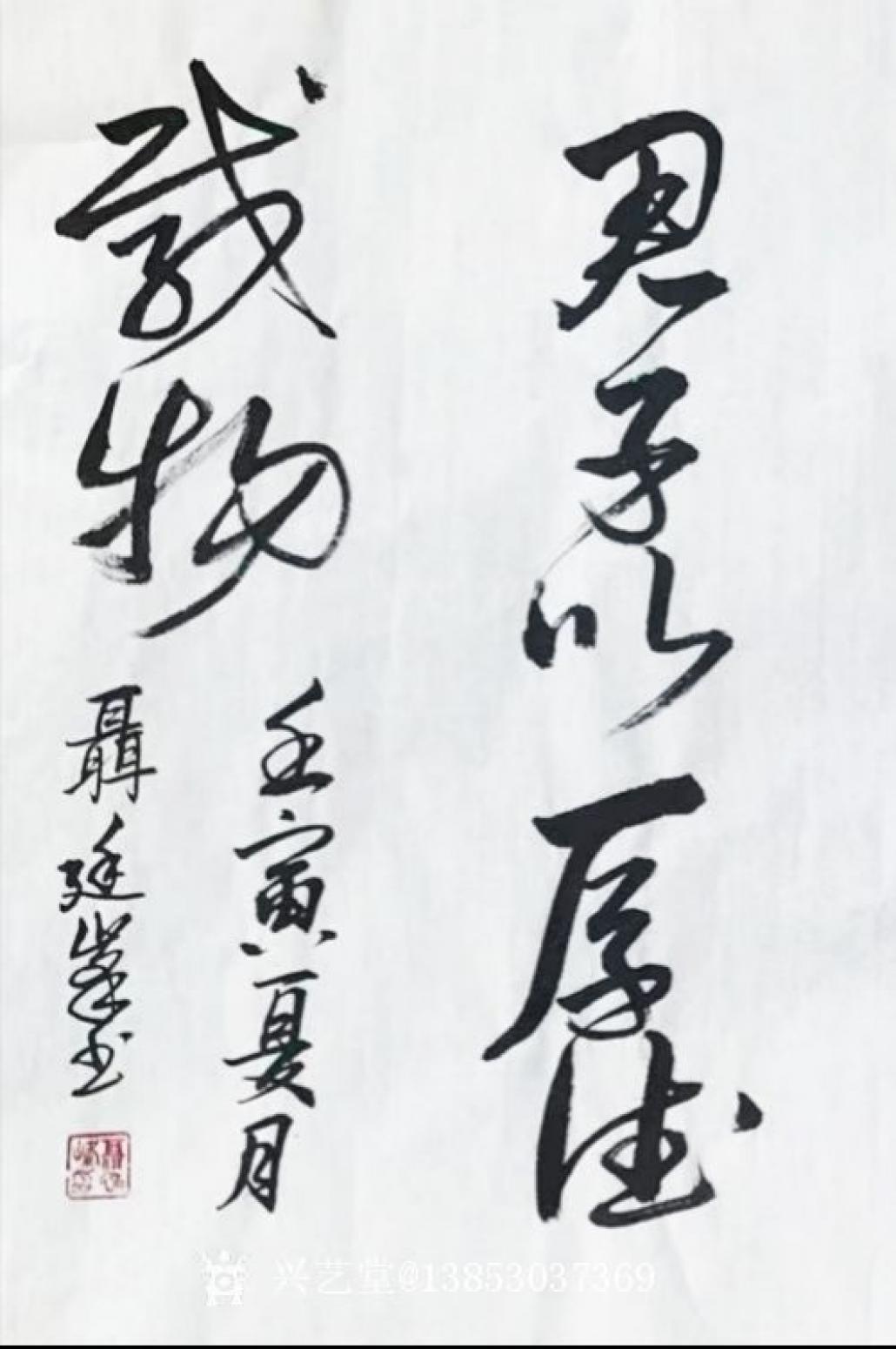 13853037369書法作品《易經(jīng)句天行健》【圖2】